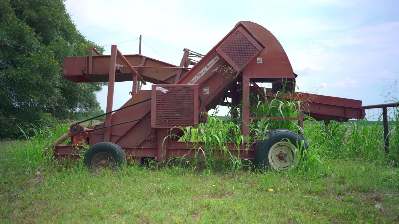 A1 Grass brand story film